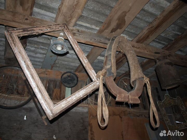 Конский хомут