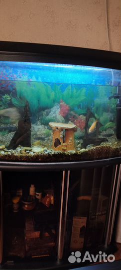 Аквариум с тумбой 100л