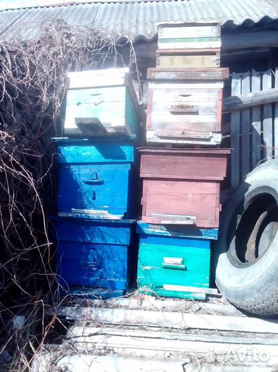 Ульи для пчёл
