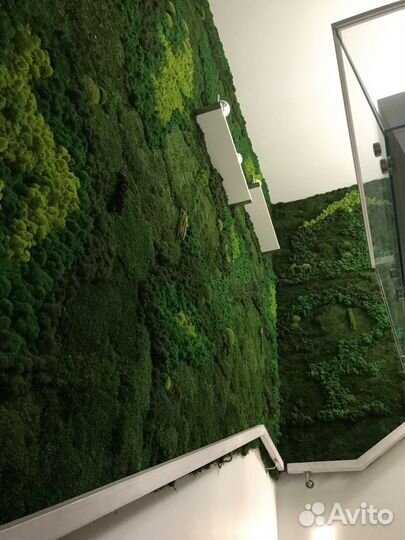 Озеленение пластовым мхом