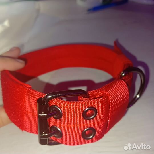 Ошейник для собак