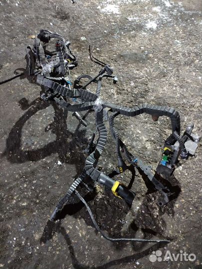 Электропроводка двигателя DAF XF106 2015 г 1905953