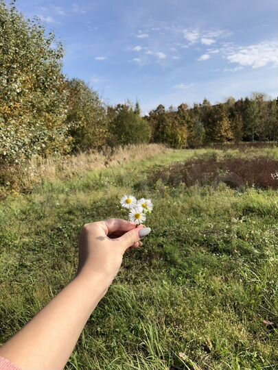 Участок 22,5 сот. (СНТ, ДНП)