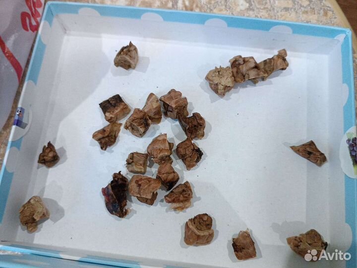 Сушеное говяжье лёгкое (Вкусняшка для дрессировки)