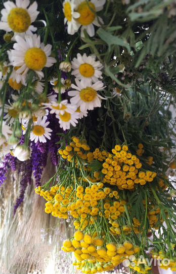 Букеты,сухоцветы