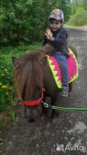 Прокат на пони