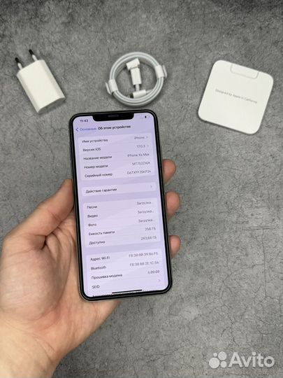 iPhone Xs Max, 256 ГБ