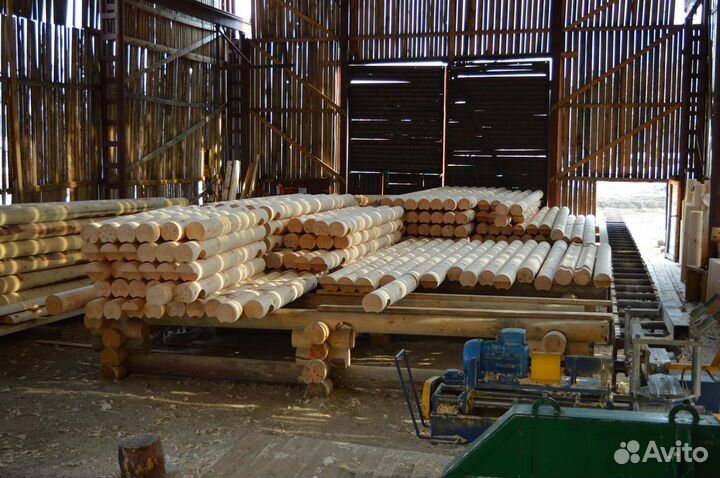 Производство по заготовке и переработке древесины