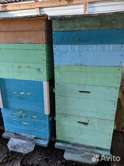 Улей для пчел