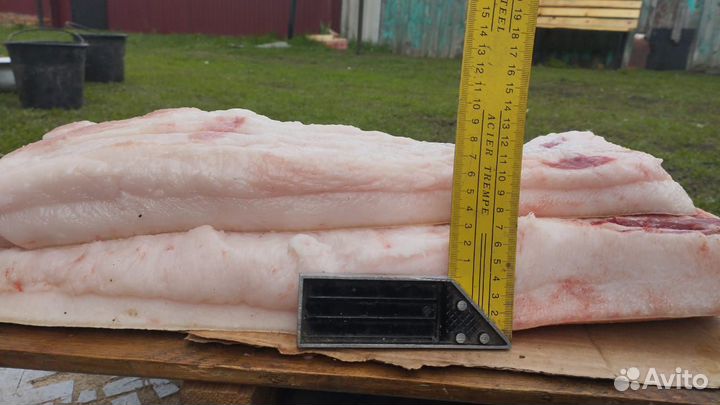 Сало свиное свежее