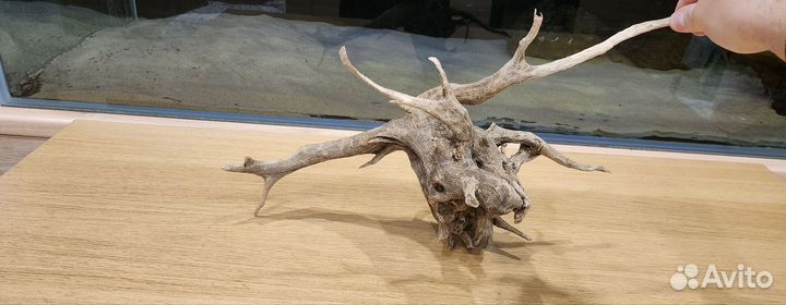 Коряги для аквариума