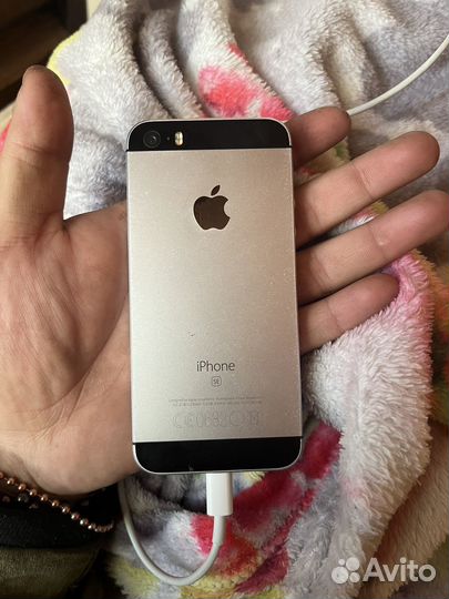 Телефон iPhone se
