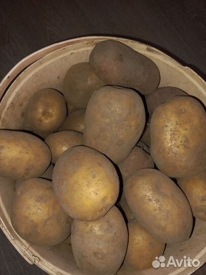 Продам картофель домашний