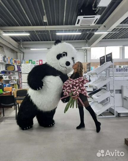 Аниматор мишка