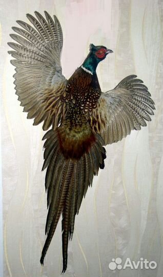 Чучела птиц и животных изготовление