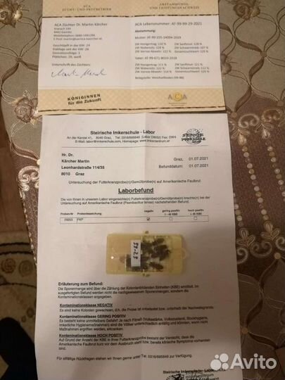 Пчёлы, пчелопакеты, пчелосемьи карника