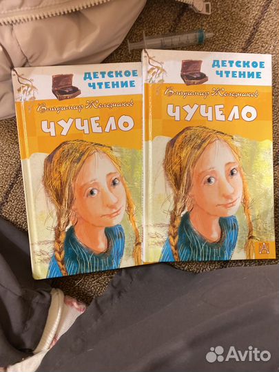 Чучело книга