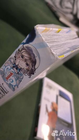 Манга: Ложные выводы, Дневник будущего