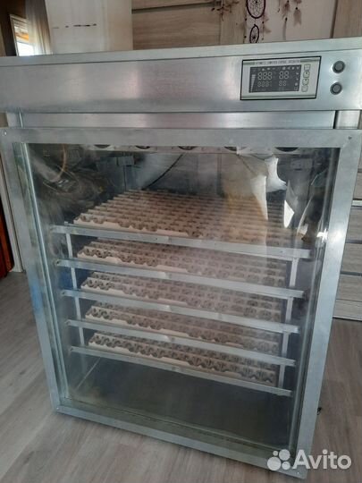 Инкубатор 750