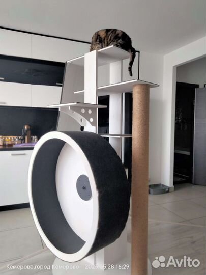 Домик для кошки с беговым колесом