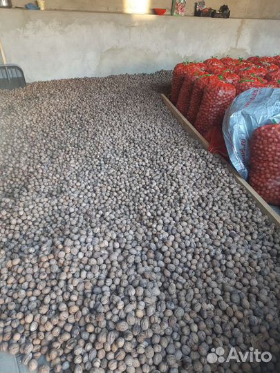 Орех грецкий(объем)