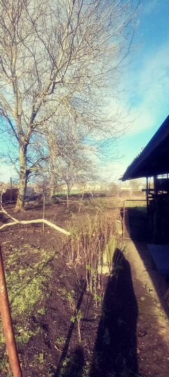 Дом 53,9 м² на участке 16 сот.