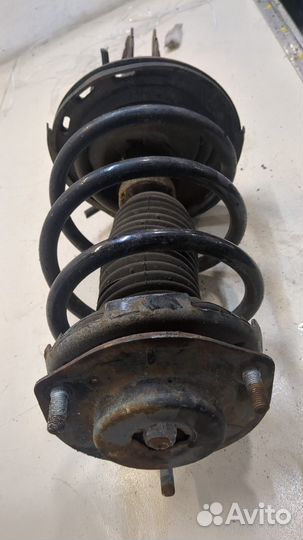 Амортизатор подвески правый передний Toyota Camry V40, 2009