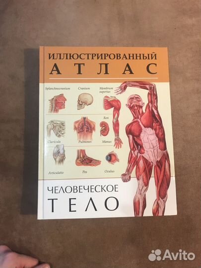 Детская учебная литература: биология, анатомия