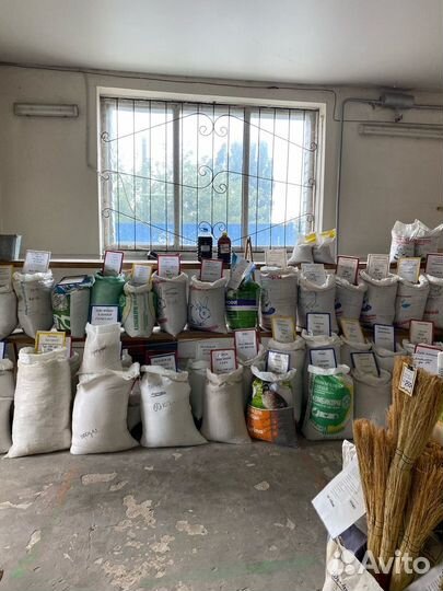 Пшеница дробленая