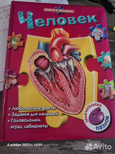 Книга с 6 пазлами о строении человека