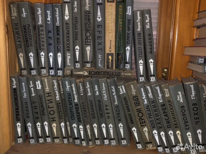 Коллекция книг жзл 100 штук