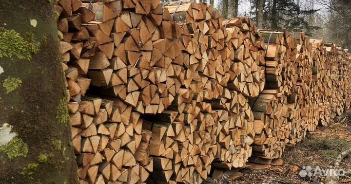 Дрова отличные