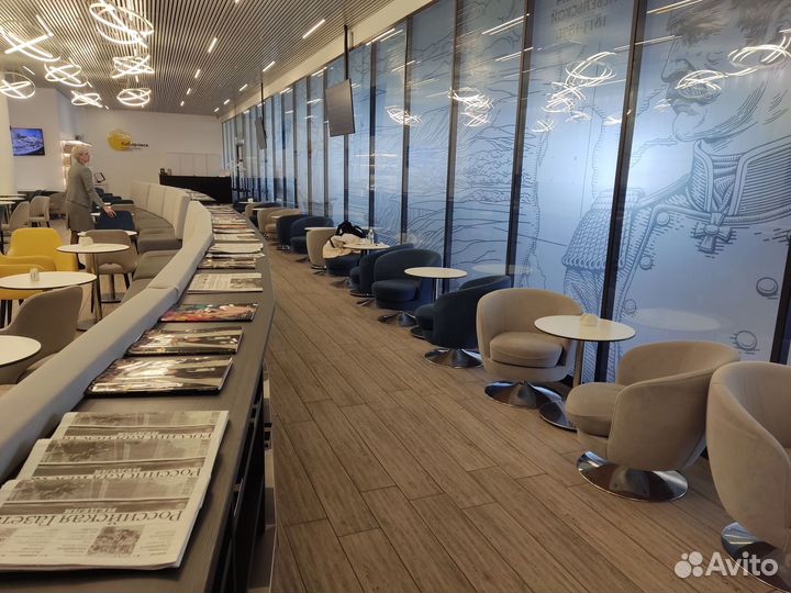 Проход в Бизнес залы Храброво