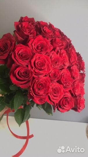 Роза красная букет
