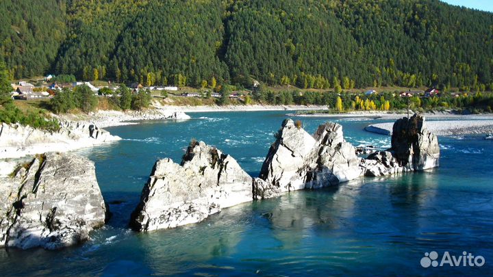 Путешествие Алтай летний экспедиция 5-9 дн