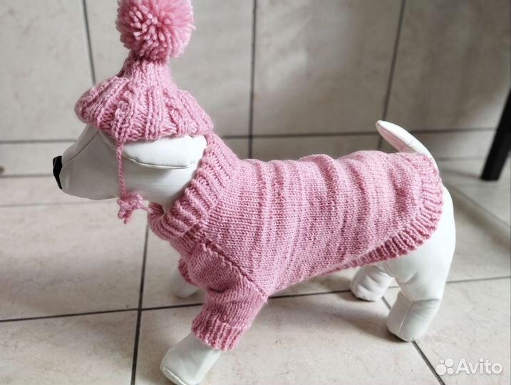 Костюм для собаки