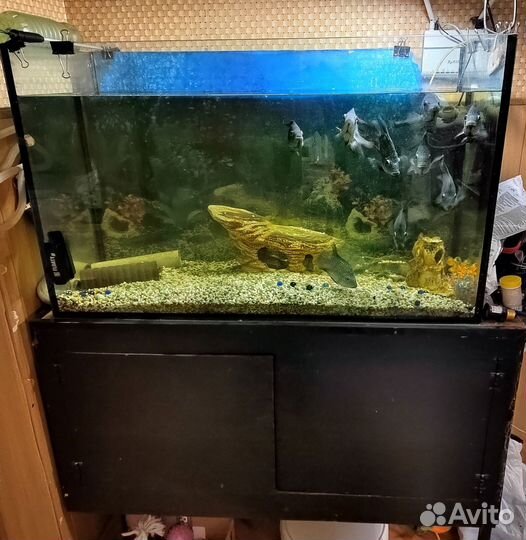 Аквариум с тумбой
