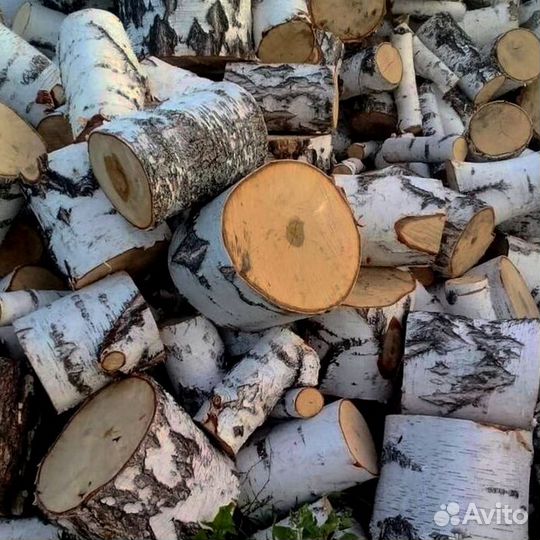 Дрова без плесени