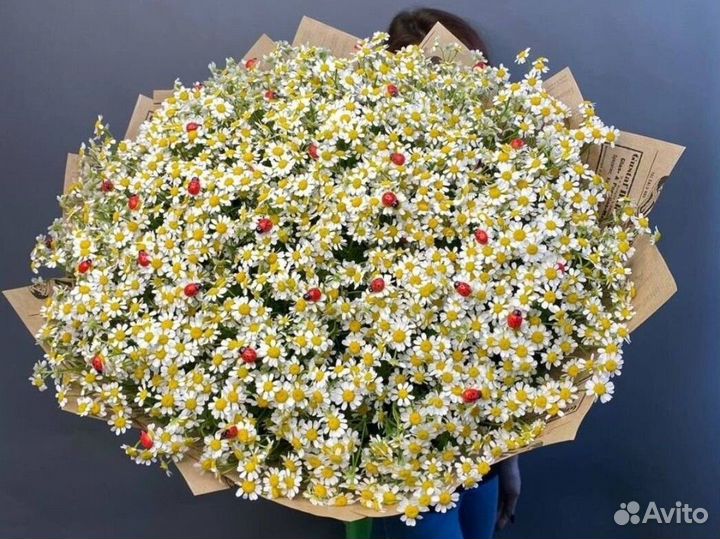 101 роза 60 см мама в шоке