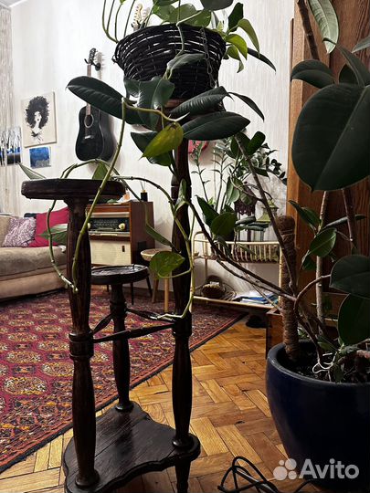 Этажерка для цветов