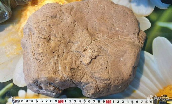 Укрытия для террариумных животных