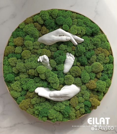 Мох Панно Картина Логотип «Самолёт» и др