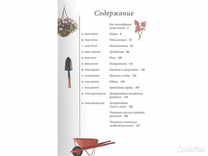 Сад твоей мечты: цветы и растения
