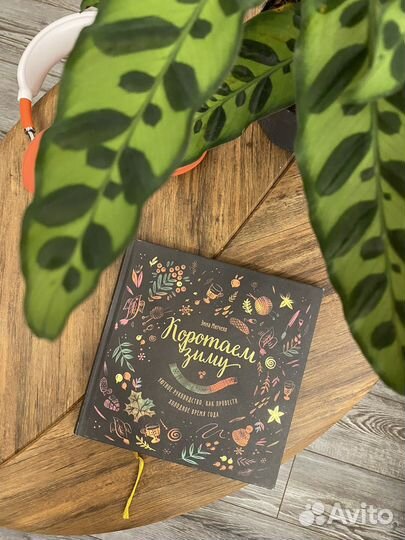 Коротаем зиму. Эмма Митчел