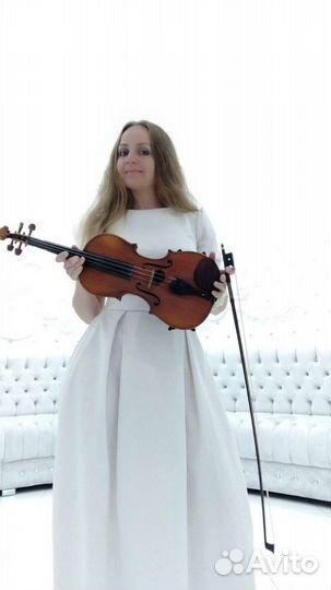 Скрипка - на Ваши праздники