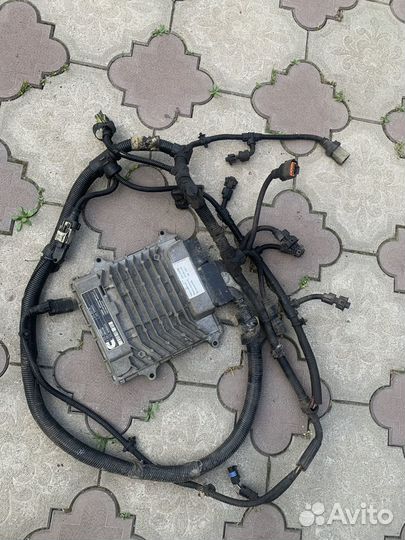 Эбу на газель cummins