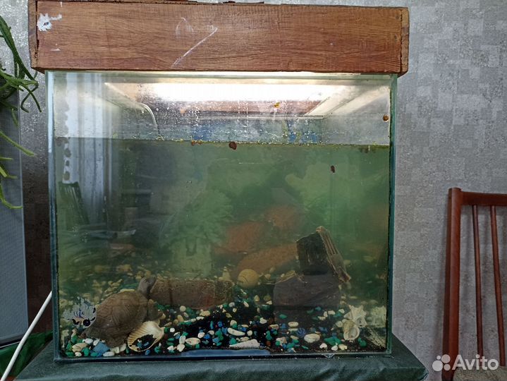 Аквариум с рыбками