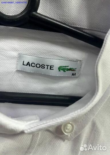 Рубашка Lacoste