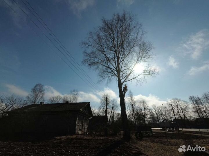 Удаление деревьев