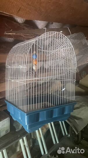 Аквариум и клетки